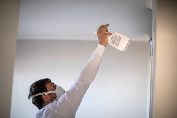 Best Attic Mold Removal  in Linden, MI
