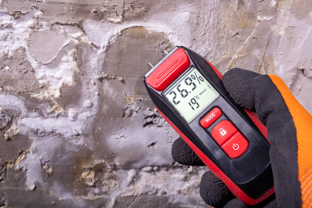 Best Toxic Mold Removal  in Linden, MI